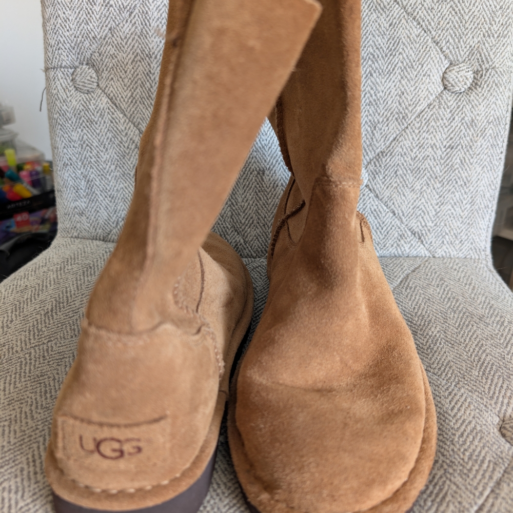 UGG Chestnut Suede Ankle Booties